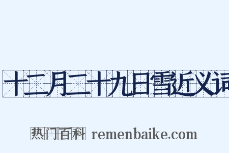 十二月二十九日雪近义词是什么意思的图片